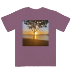 Golden Sundown - Bongaree