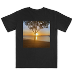 Golden Sundown - Bongaree