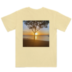 Golden Sundown - Bongaree