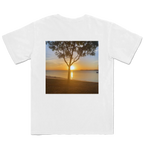 Golden Sundown - Bongaree
